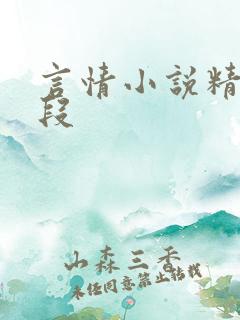言情小说精彩片段