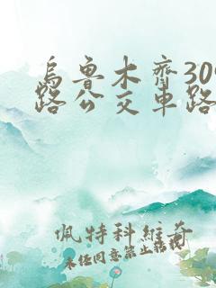 乌鲁木齐309路公交车路线图