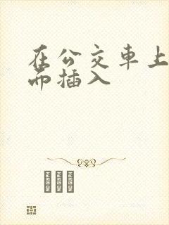 在公交车上从后面插入