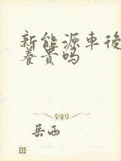 新能源车后续保养贵吗