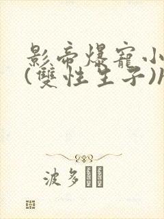 影帝爆宠小骚妻(双性生子)h