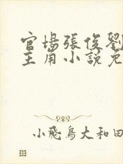 官场张俊刘玉婕主角小说免费阅读