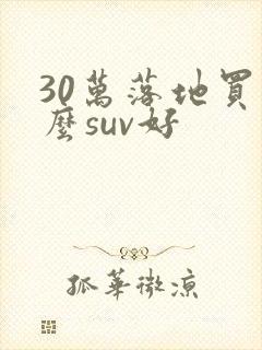 30万落地买什么suv好