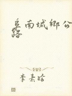 阜南城乡公交线路