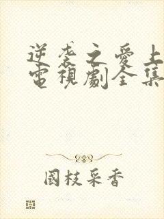 逆袭之爱上情敌电视剧全集免费