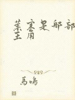 叶寒是哪部小说主角