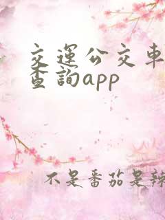 交运公交车实时查询app