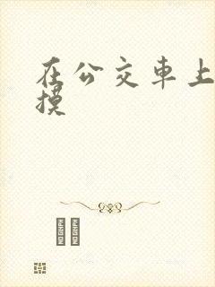 在公交车上被人摸