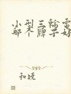 小型三轮电动车哪个牌子好质量好