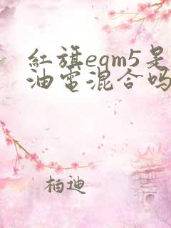 红旗eqm5是油电混合吗