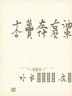 十万左右油电混合买什么车好