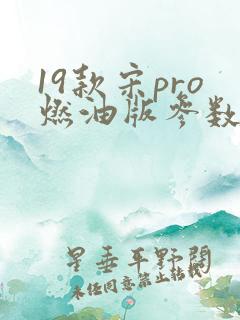 19款宋pro燃油版参数 19款宋pro燃油版参数