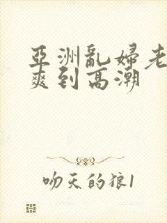 亚洲乱妇老熟女爽到高潮