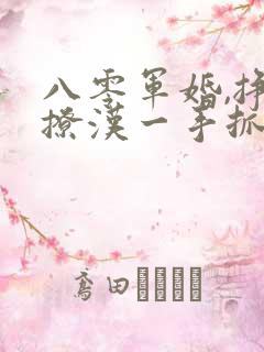 八零军婚,挣钱撩汉一手抓在线听书