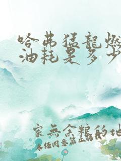 哈弗猛龙燃油版油耗是多少