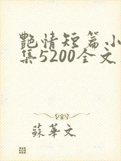 艳情短篇小说合集5200全文在线阅读