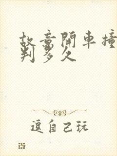 故意开车撞死人判多久