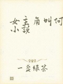 女主角叫何念的小说