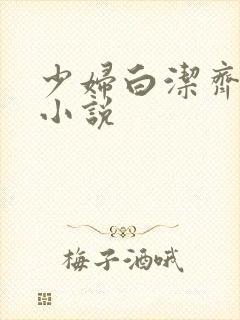 少妇白洁齐名的小说
