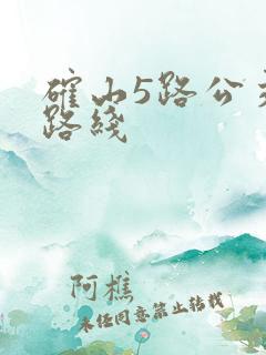 确山5路公交车路线 确山5路公交车路线