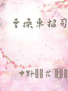 曹操车招司机 曹操车招司机