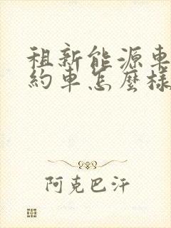 租新能源车跑网约车怎么样