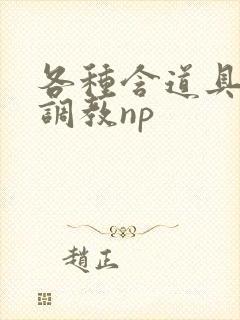 各种含道具高h调教np