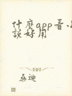 什么app看小说好用