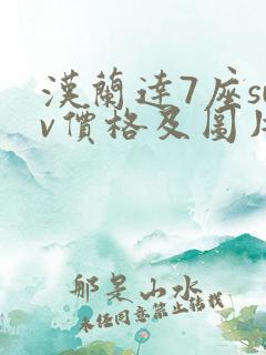 汉兰达7座suv价格及图片油电混动版