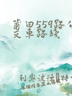 莆田559路公交车路线