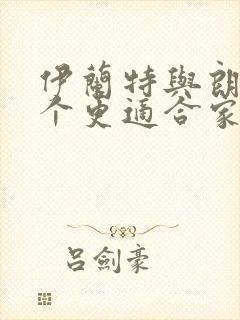 伊兰特与朗逸哪个更适合家用