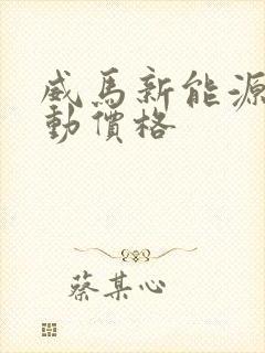 威马新能源纯电动价格
