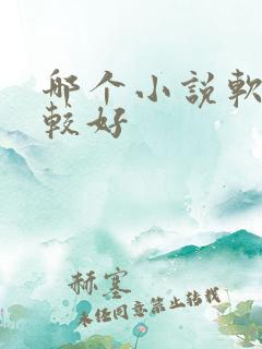 哪个小说软件比较好