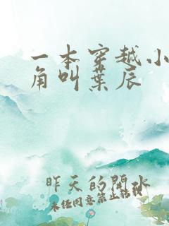 一本穿越小说主角叫叶辰