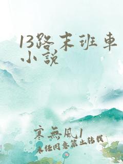 13路末班车 小说
