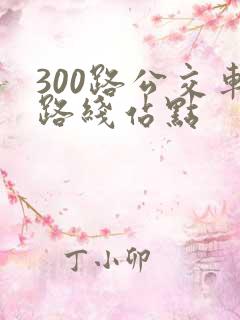 300路公交车路线站点