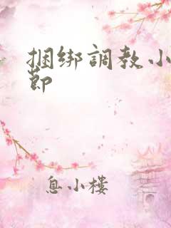 捆绑调教小说章节