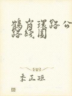 鹤岗环路公交车路线图