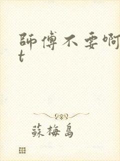 师傅不要啊txt