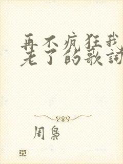 再不疯狂我们就老了的歌词