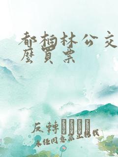 都柏林公交车怎么买票
