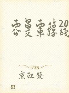 西昌西站20路公交车路线图