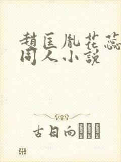 赵匡胤花蕊夫人同人小说