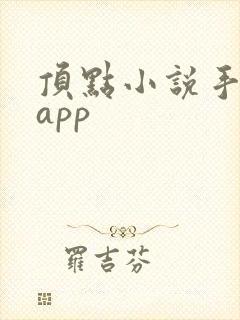顶点小说手机版app