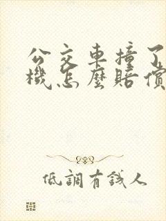 公交车撞了人司机怎么赔偿