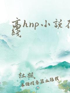 高hnp小说在线 高hnp小说在线