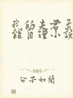 我的夫君柔弱不能自理小说
