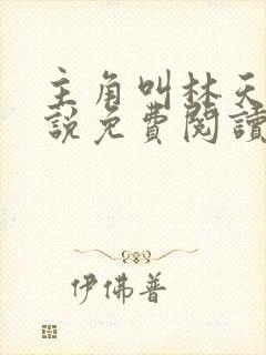 主角叫林天的小说免费阅读 主角叫林天的小说免费阅读