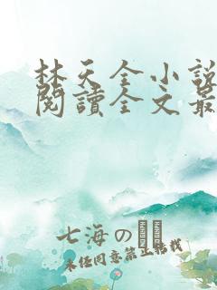 林天全小说免费阅读全文最新章节