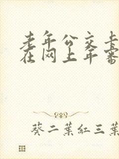老年公交卡可以在网上年审吗